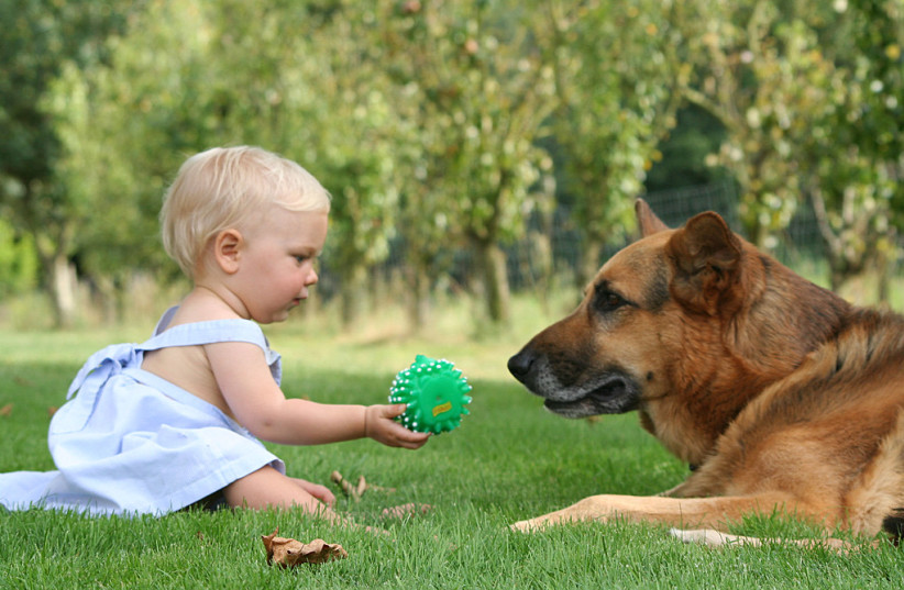  Illustrative image of a baby with a dog. (credit: FLICKR)