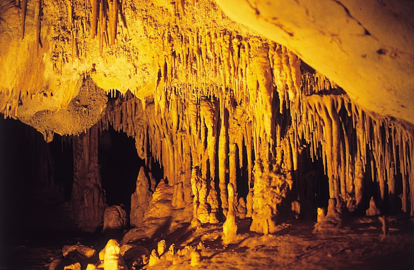  Inner chamber of Es Càrritx cave. (credit: ASOME-Universitat Autònoma de Barcelona.)