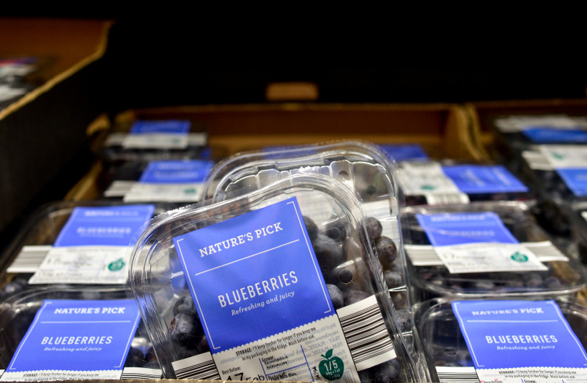 Fresh blueberries on sale in an Aldi store in London, Britain, February 15, 2018. (credit: Peter Summers/Reuters)