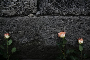 Flowers are placed at the "death wall" at Auschwitz