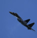 A Sukhoi SU-35 fighter aircraft performs during the "Aviadarts" military aviation competition at the Dubrovichi range near Ryazan, Russia, August 2, 2015.