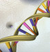  A DNA double helix is seen in an undated artist's illustration released by the National Human Genome Research Institute to Reuters on May 15, 2012. A group of 25 scientists June 2, 2016, proposed an ambitious project to create a synthetic human genome, or genetic blueprint, in an endeavor that is b