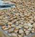  Remains dating back to the period of Roman Emperor Constantine at the Church of the Holy Sepulcher have been uncovered in excavations carried out in conjunction with a complex two-year project to repair and restore pavement stones of the ancient church.