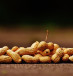  Illustrative image of peanuts.