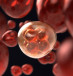 A cell is seen undergoing mitosis, replicating its chromosomes as it divides (Illustrative).