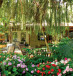  A willow tree shades the charming garden at Beit Shalom