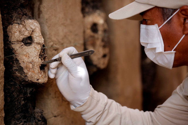 Archaeologists find 800-year old mummy in Peru - The Jerusalem Post