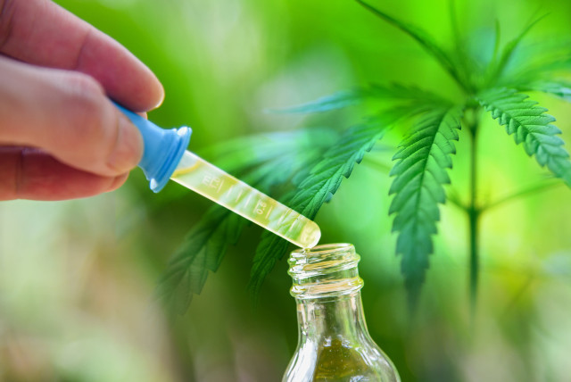 CBD and Drug Test: How Long Does CBD Oil Stay in Your System? - The Jerusalem Post
