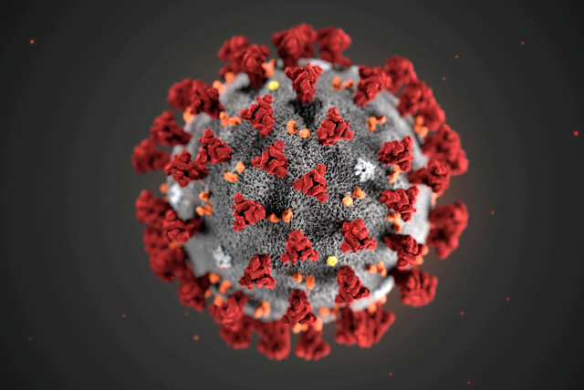 An illustration, created at the Centers for Disease Control and Prevention (CDC), depicts the 2019 Novel Coronavirus (photo credit: MAM/CDC/HANDOUT VIA REUTERS)