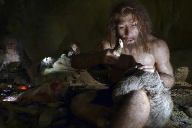 Neanderthal foot sheds light on prehistoric inhabitants of the Galilee -  Israel News - The Jerusalem Post