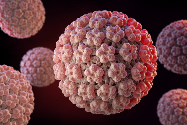 Implicarea genomului papiloma virusului uman (hpv) în oncogeneza cancerului cervical