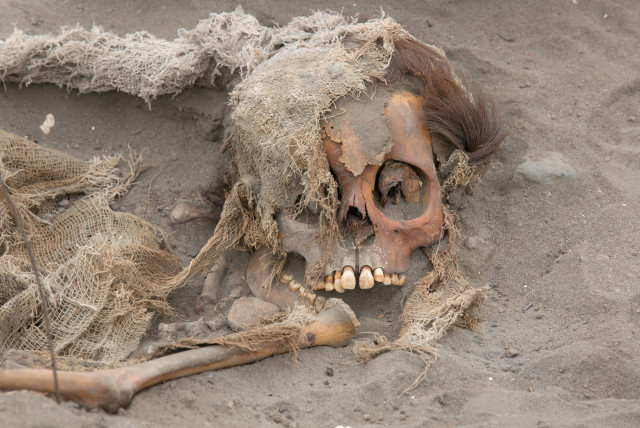 Vista de una fosa común de niños y adultos de la cultura Chimu en Pampa La Cruz en el distrito de Huanchaco de Trujillo, Perú. (crédito de la foto: REUTERS/DOUGLAS JUAREZ)