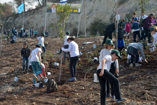 Israeli kids plant trees for the Jewish holiday of Tu Bishvat in Haifa on February 9, 2017. Tu Bishvat is also called literally "New Year of the Trees." In contemporary Israel the day is celebrated as an ecological awareness day and trees are planted in celebration. 