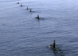 iran submarine