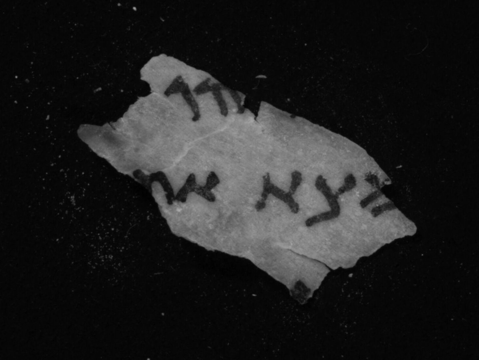 A fragment of Deuteronomy (11Q3) after IR imaging at the scroll lab of the Israel Antiquity Authority. (credit: Israel Antiquities Authority)