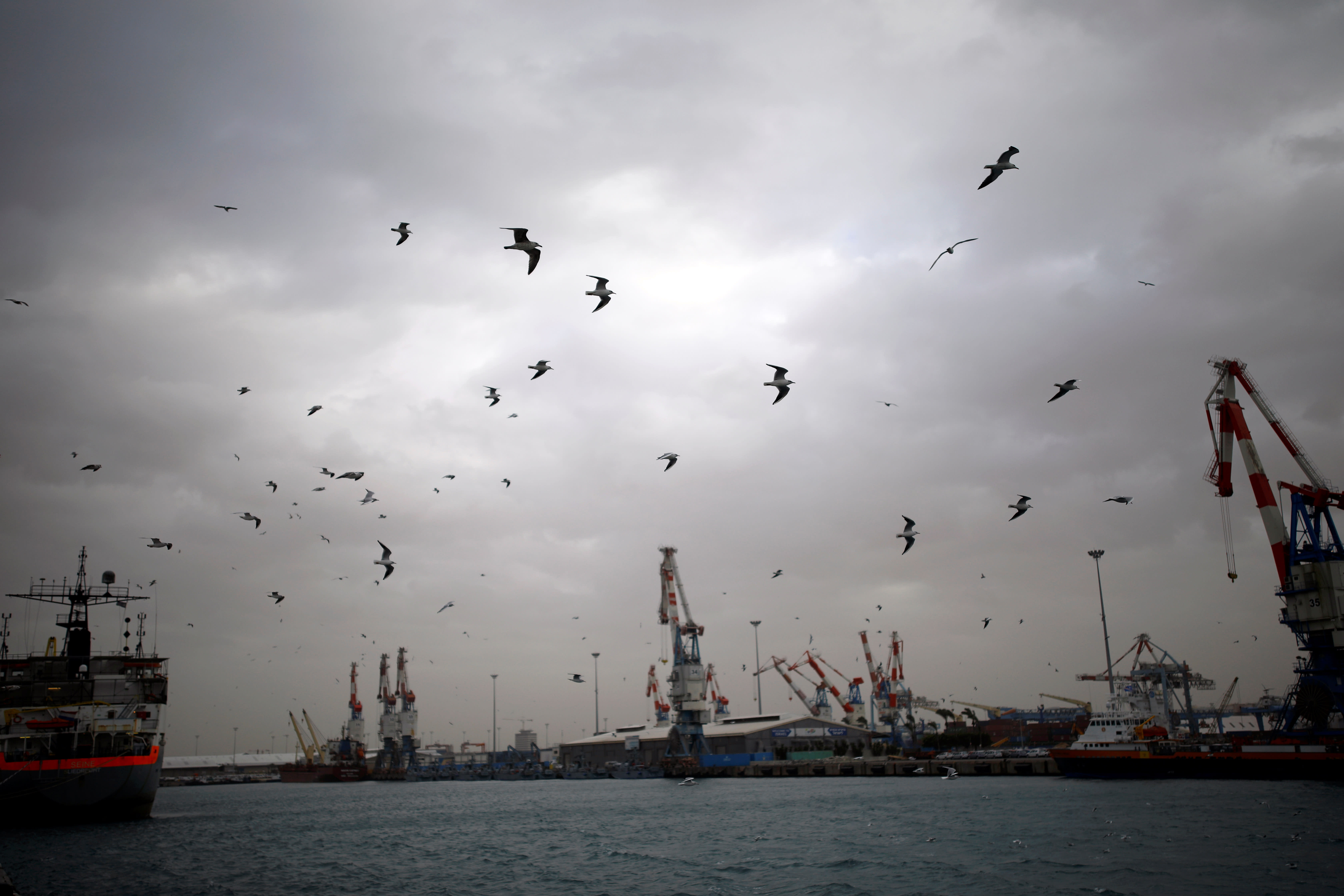 A general view shows seagulls in Ashdod port as a storm approaches Israel's shores January 4, 2018. (Reuters/Amir Cohen)
