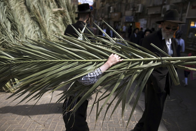 An ultra-Orthodox Jewish boy carries palm branches during preparations for the upcoming Jewish holiday of Sukkot in Jerusalem's Mea Shearim neighbourhood September 24, 2015 (REUTERS/Ronen Zvulun).
