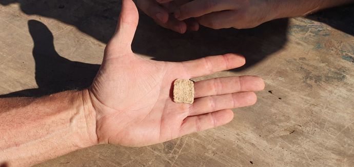 Ancient Hebrew amulet discovered at Joshua's altar in Samaria. (Credit: ROI HADI)