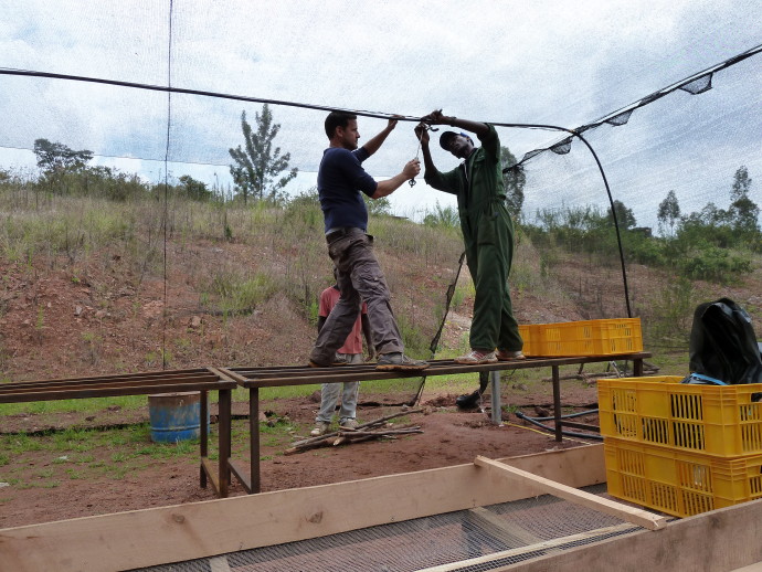 AVIV EISENBAND works with local partners in Rwanda to build a net house for cultivating seeds used in the forest and beekeeping initiatives in the Agahozo-Shalom Youth Village. (Credit: KKL-JNF Photo Archive)