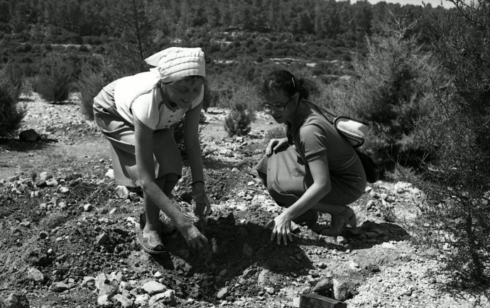 PLANTING TREES (Credit: Israel Sinai/KKL Photo Archives)