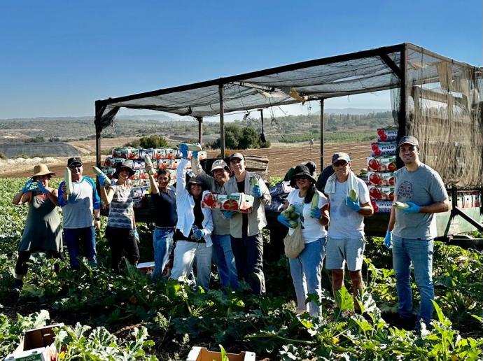 KKL-JNF workers pick up vegetables to help Israeli farmers (Credit: KKL-JNF)