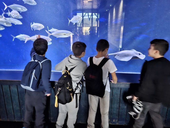 CHILDREN FROM Gaza border communities visiting the Israel Aquarium as part of the Foundation’s Double Impact program (Credit: JERUSALEM FOUNDATION)