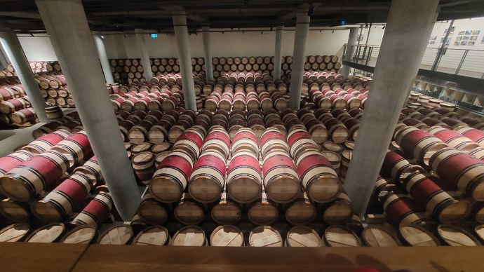 French oak barrels in the Domaine Du Castel cellar. (Credit: @MarkDavidPod)