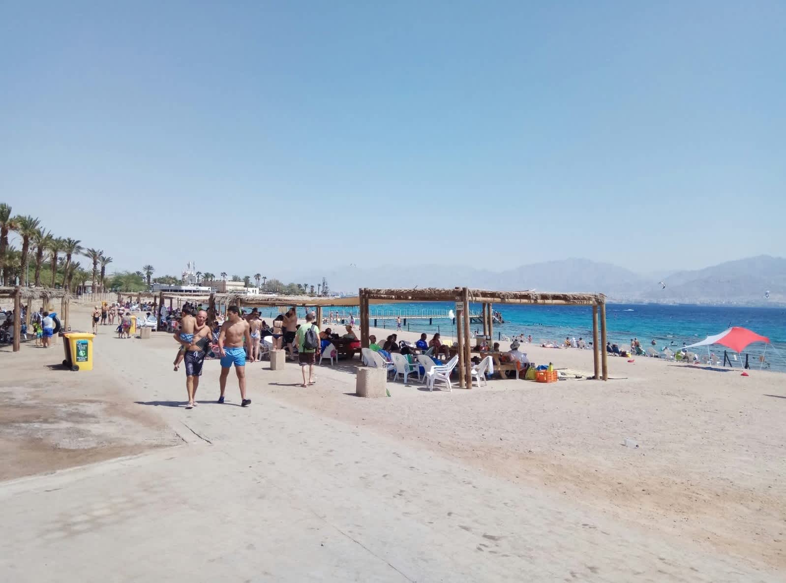 Basking in the sun at Eilat's Coral Beach. 