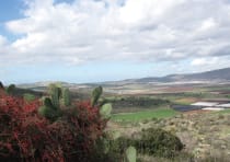 LOWER GALILEE view from Tzipori.