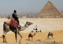 A man waits for tourists to rent his camels in front of the Great Pyramids of Giza last month. 