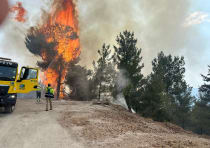  A wildfire in Israel's north.