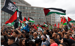  a pro-Palestine protest