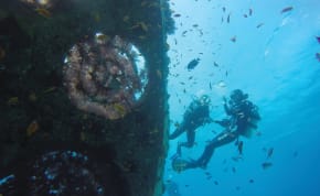  DIVING THE artificial reef.