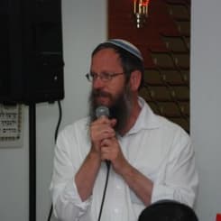 Dovid Ben-Meir
