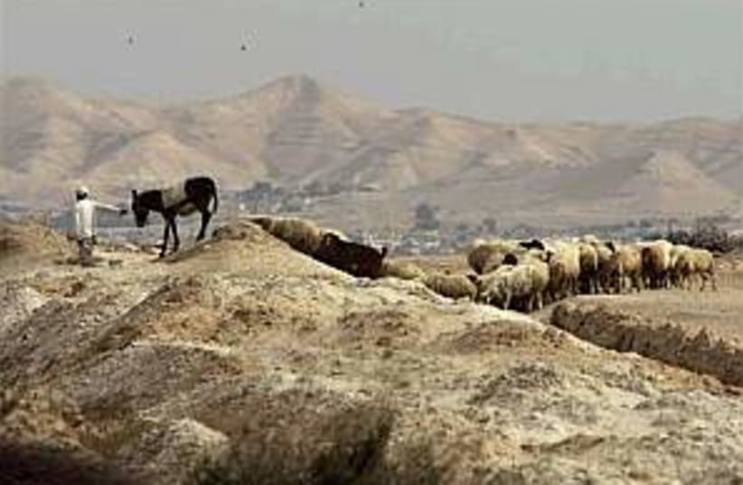 beduin shepherd 298.88 (photo credit: AP)