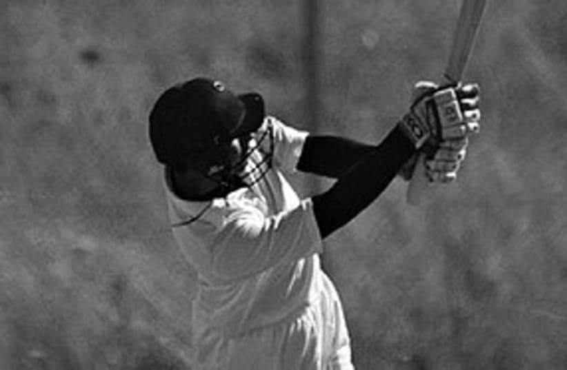 Cricket 311 (photo credit: Akhil Rajput)