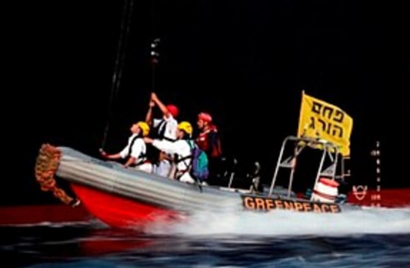 greenpeace pirates 311 (photo credit: courtesy)