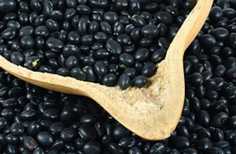 black beans (photo credit: Courtesy)
