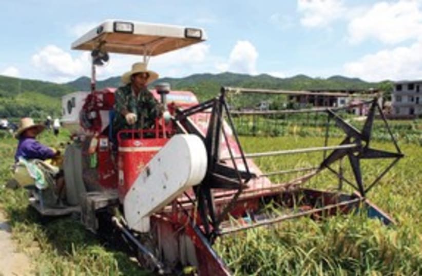 Chinese agriculture 311 (photo credit: Associated Press)