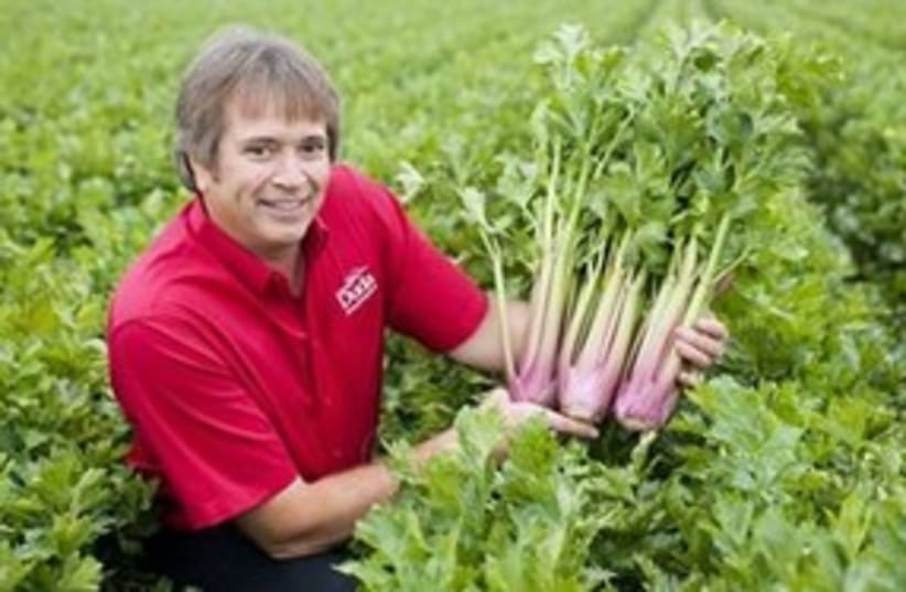 red celery 311 (photo credit: ASSOCIATED PRESS)