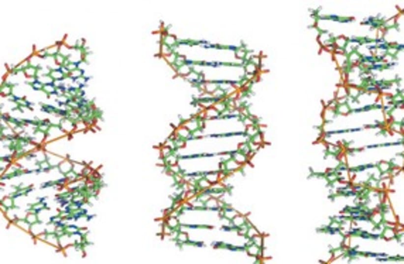 Strings of DNA 311 (photo credit: Wikipedia images)
