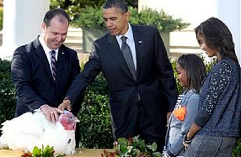 obama pardons turkey 311 (photo credit: Associated Press)