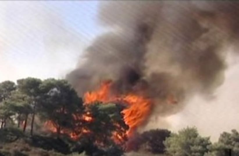 Trees fire Usfiya 311 (photo credit: Channel 10 News)