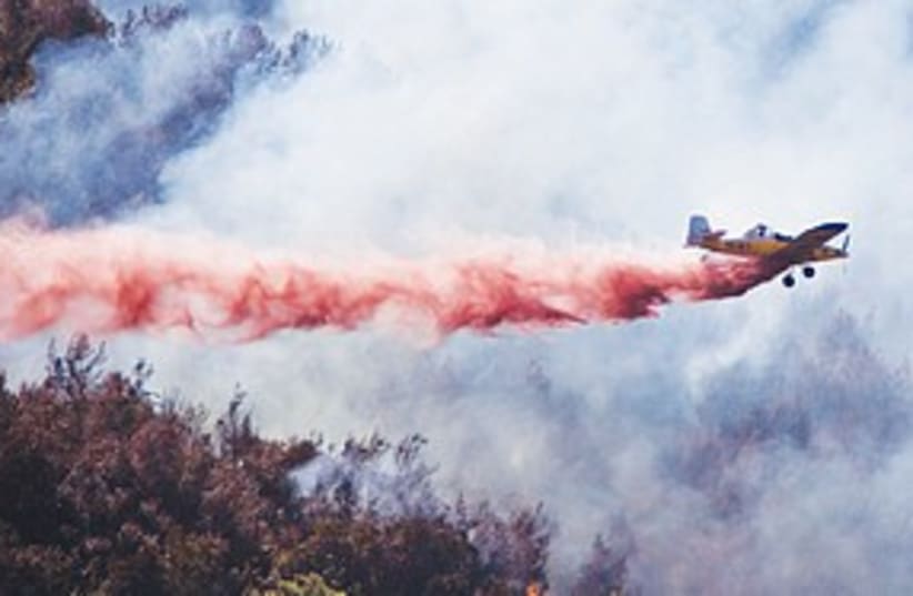 plane carmel fire (photo credit: Associated Press)
