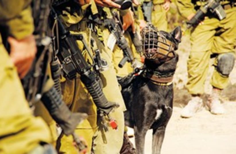 Canine 311 (photo credit: IDF Spokesman)
