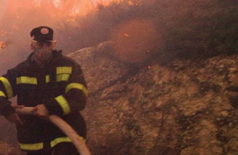 Carmel Fire (photo credit: Associated Press)