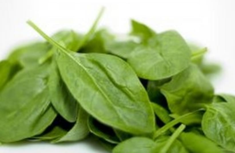 Spinach (photo credit: Courtesy)