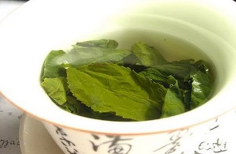 Green tea (photo credit: courtesy)