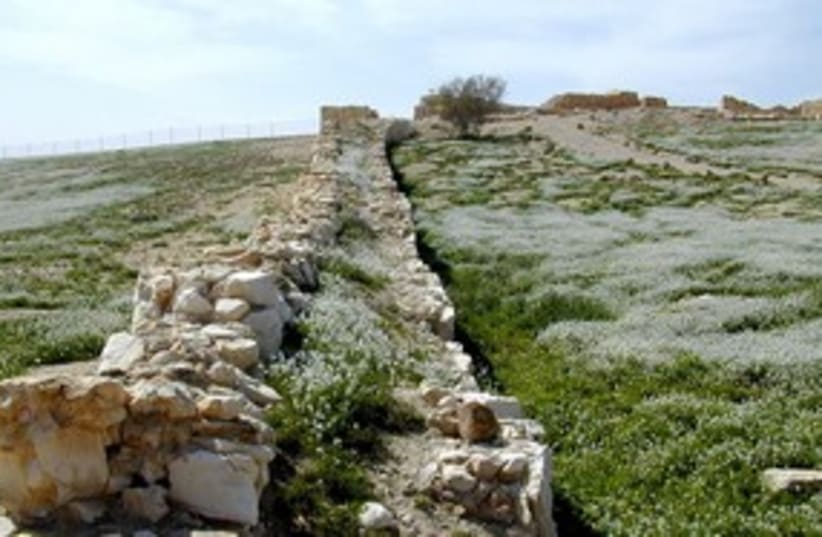 Tel Arad 311 (photo credit: BiblePlaces.com)