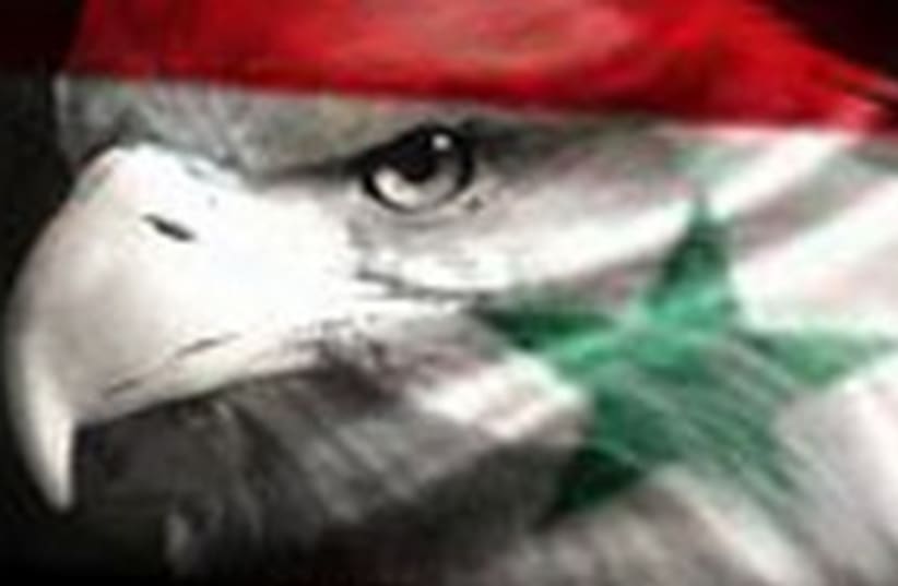 Syrian-es 311 (photo credit: Syrian Revolution 2011 webpage 311)